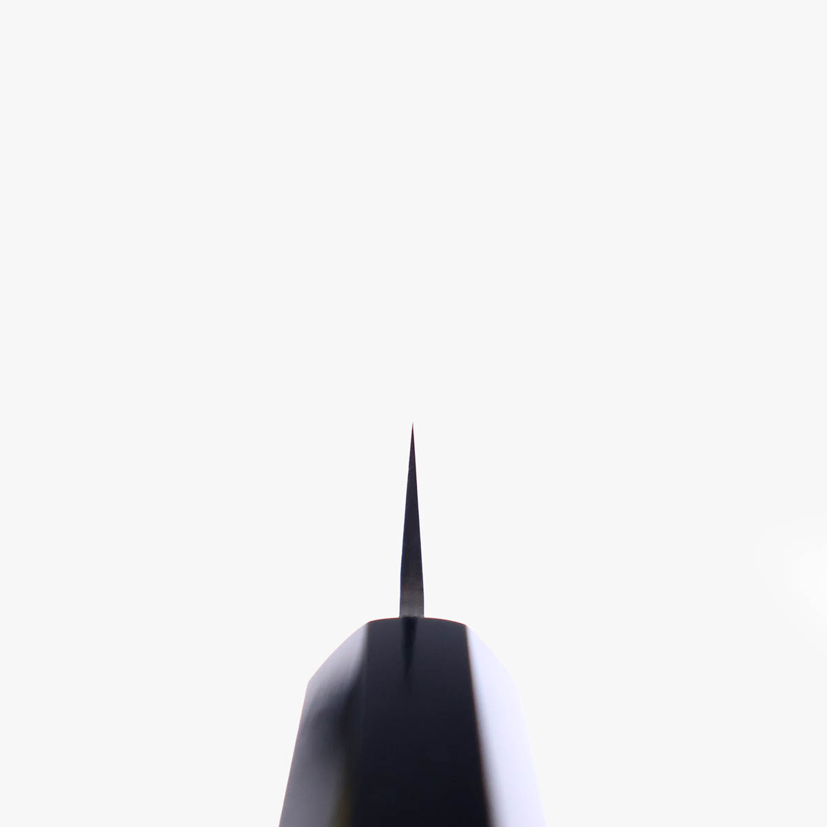 13.5cm Universalkniv, TS10 (VG10) - SAKAI KIKUMORI — bilde 4