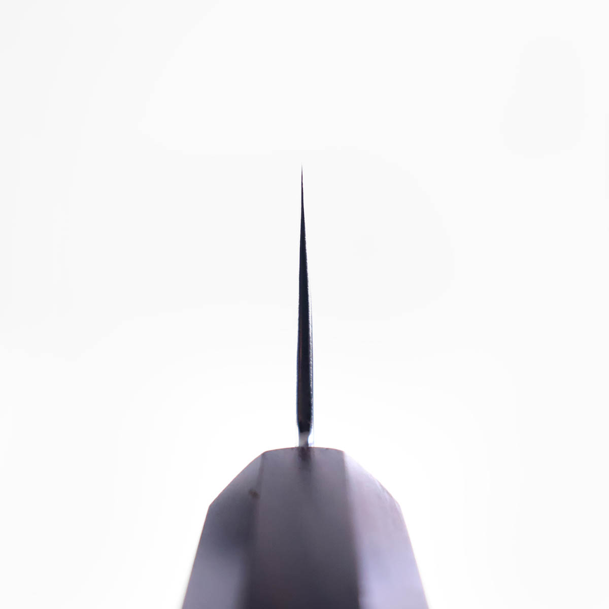 24m Kokkekniv (Kiritsuke), Ginsan III - HATSUKOKORO — bilde 4