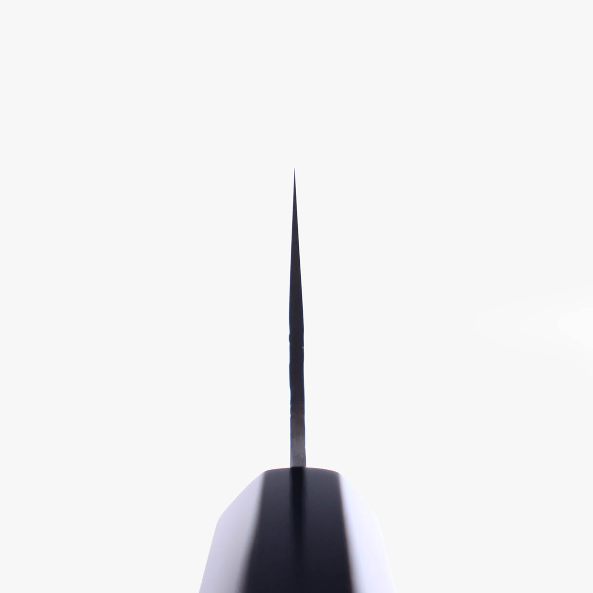 16.5cm Grønnsakskniv (Nakiri), TS10 (VG10) - SAKAI KIKUMORI — bilde 4