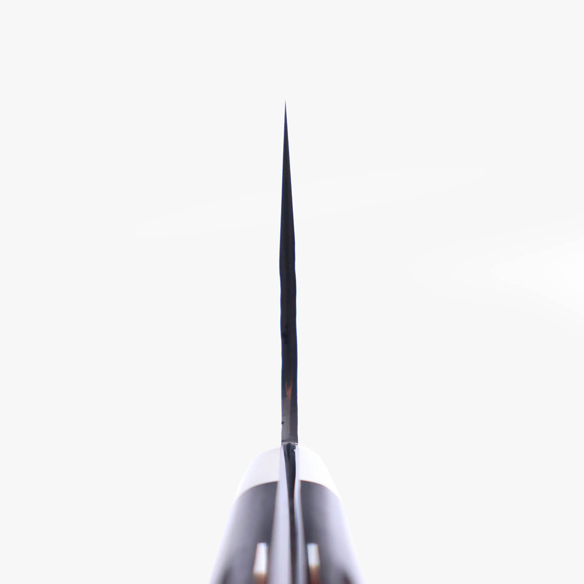 27cm Kiritsuke "Abelone Handle" - YU KUROSAKI — bilde 5
