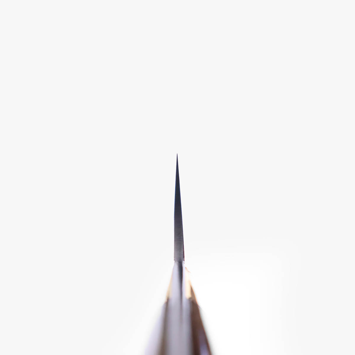 24cm Sujihiki "stag" damask, VG10 - SAJI — bilde 5