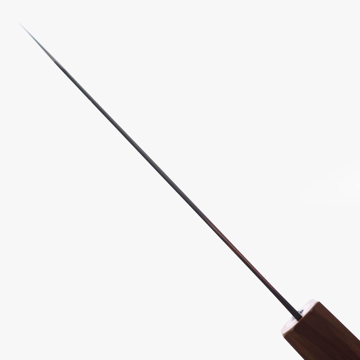 18cm Bunka, Ryuhyo, SG2 - Hatsukokoro — bilde 5