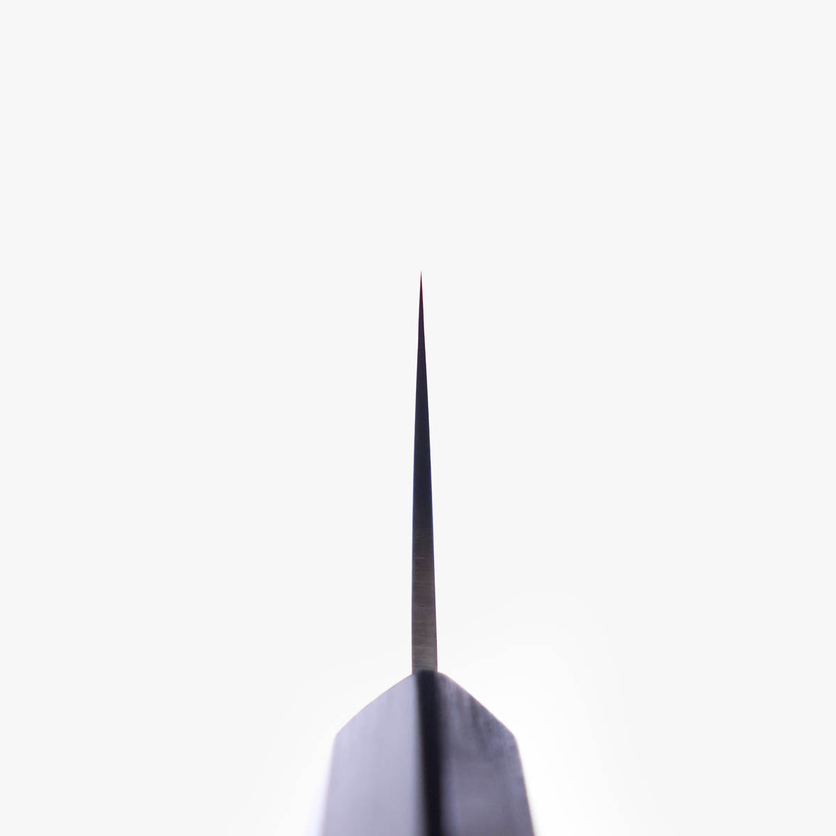 18cm Bunka, ZUIUN, SG2, Inkl Saya - KANETSUGU — bilde 5