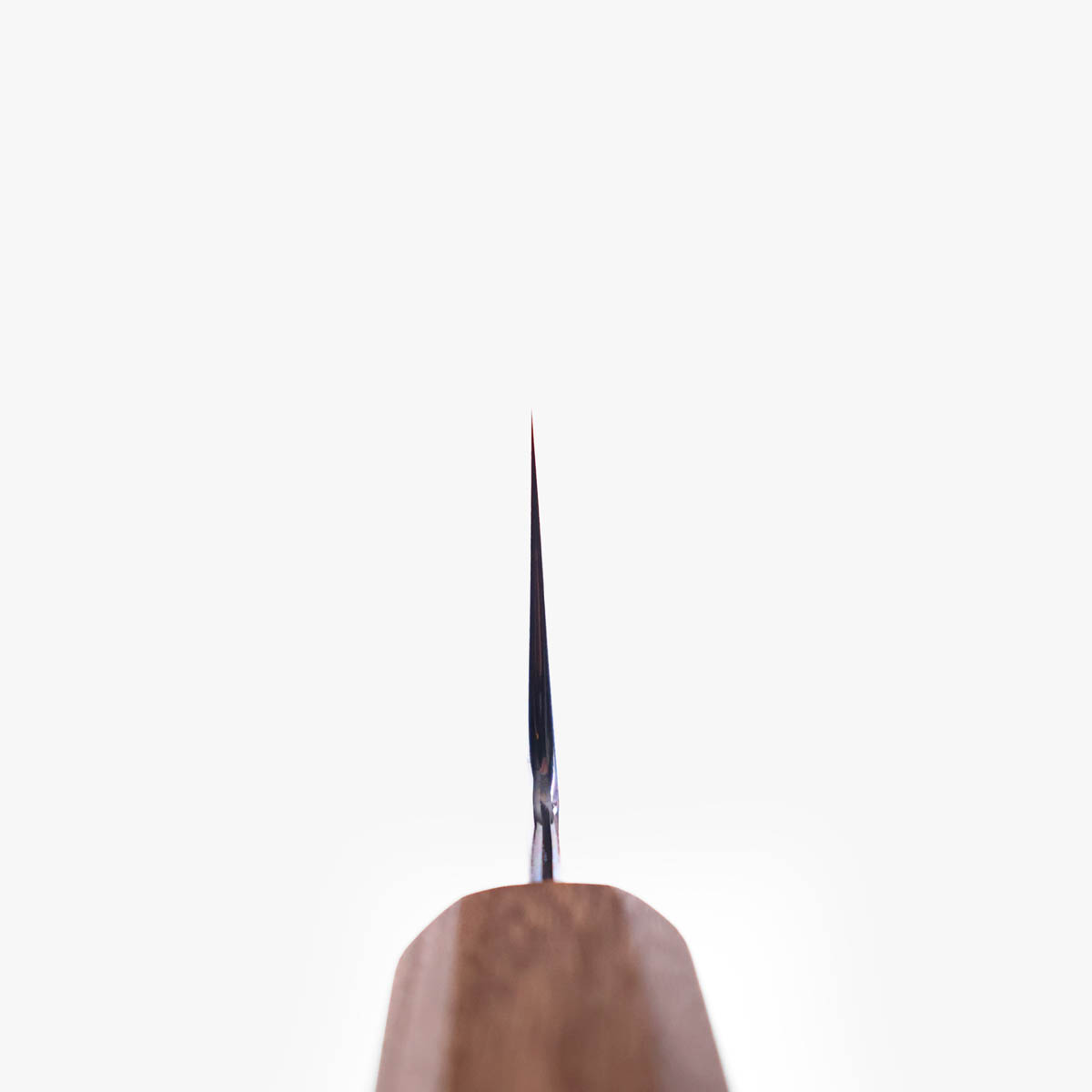 21cm Kokkekniv (gyoto), m/saya, Shirogami II - KAGEKIYO — bilde 6
