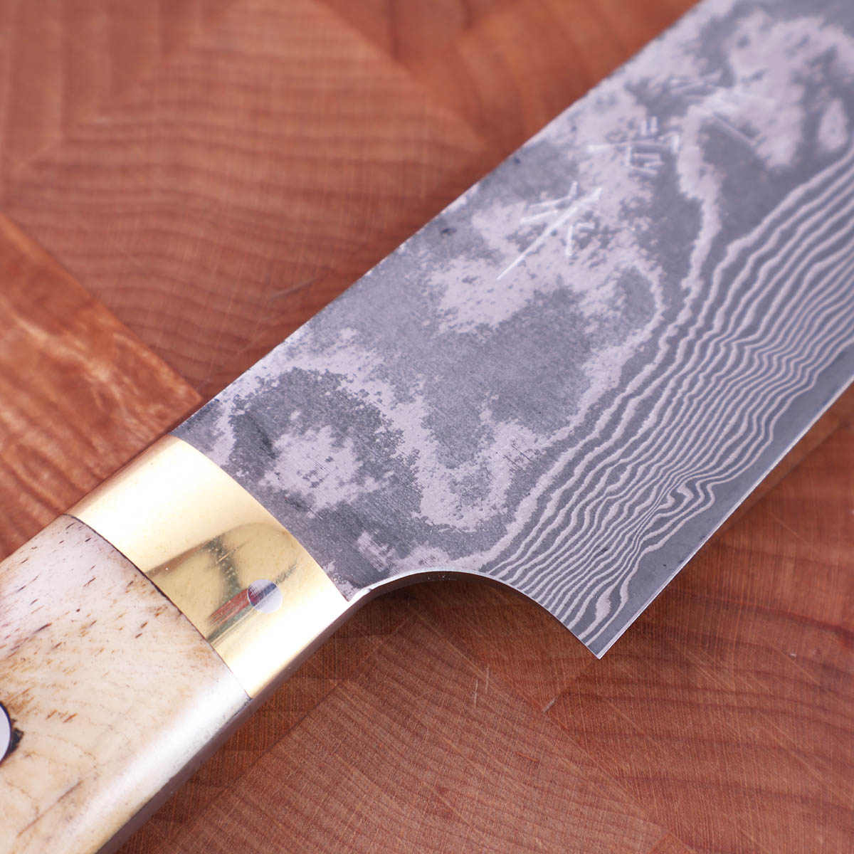 24cm Sujihiki "stag" damask, VG10 - SAJI — bilde 2