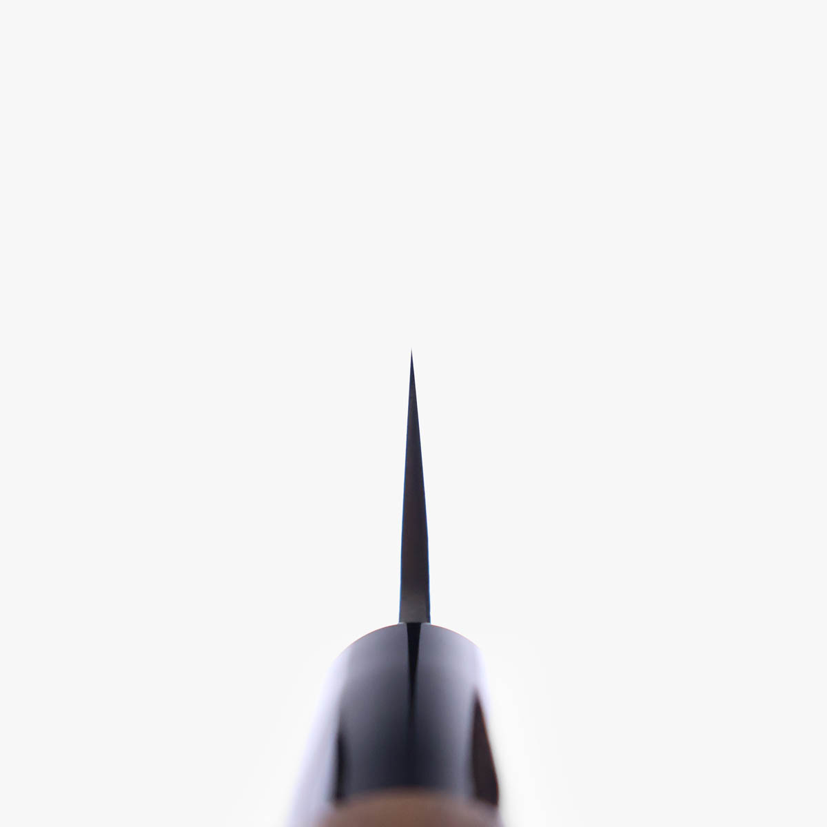 21cm Fileteringskniv (bonito), høykarbon - Sakoda Hamono — bilde 4