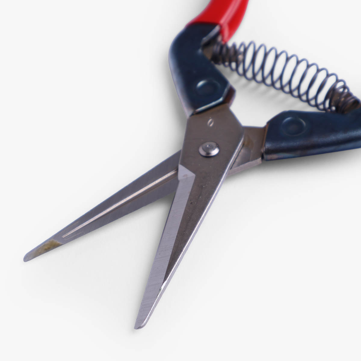 Saks til trimming "pruning shears" - Senkichi — bilde 2