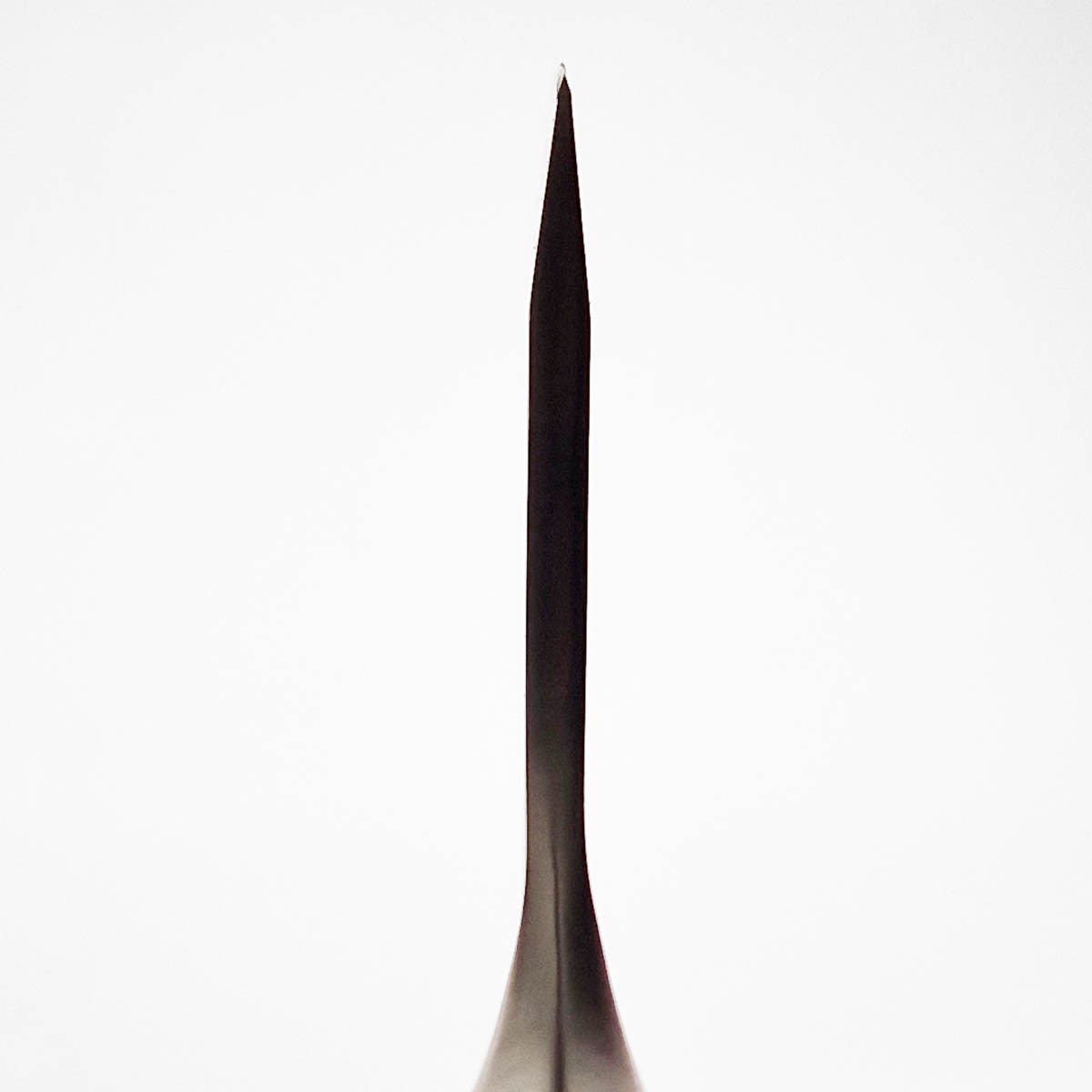 16cm Kjøttøks - GLOBAL — bilde 4