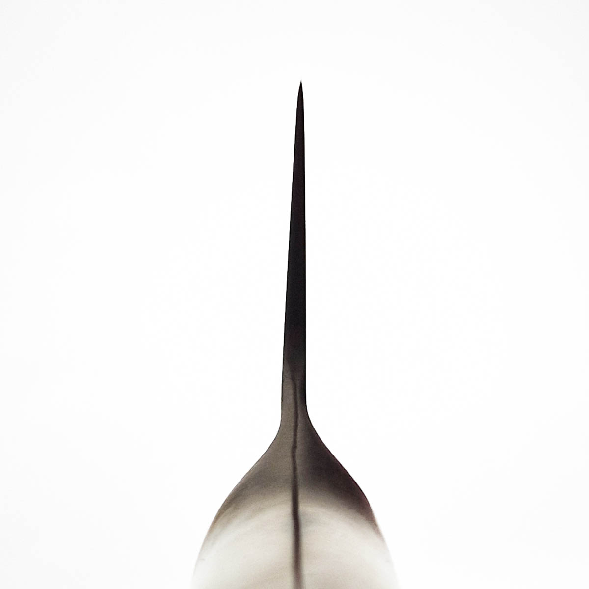 24cm Kokkekniv (gyoto) - GLOBAL — bilde 4