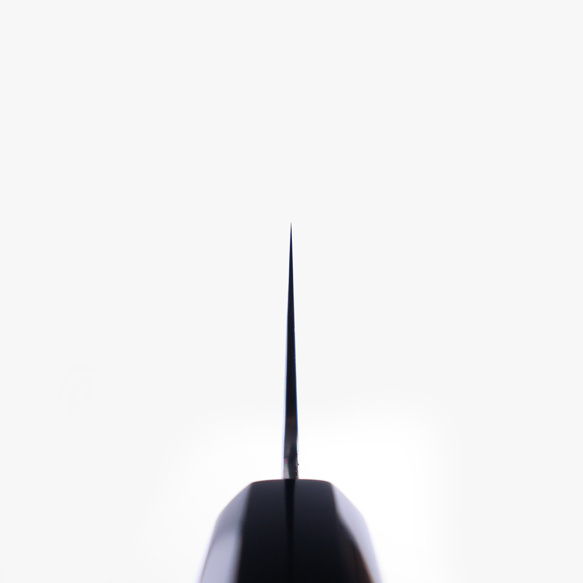 21cm Kokkekniv (gyoto) nr.2, CoSP Migaki - MYOJIN RIKI SEISAKUSHO — bilde 4