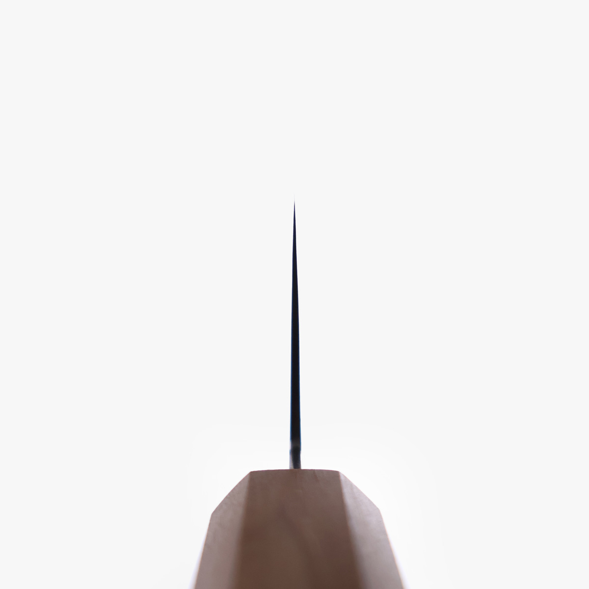 21cm Kokkekniv (gyoto), Ryuhyo, SG2 - Hatsukokoro — bilde 4