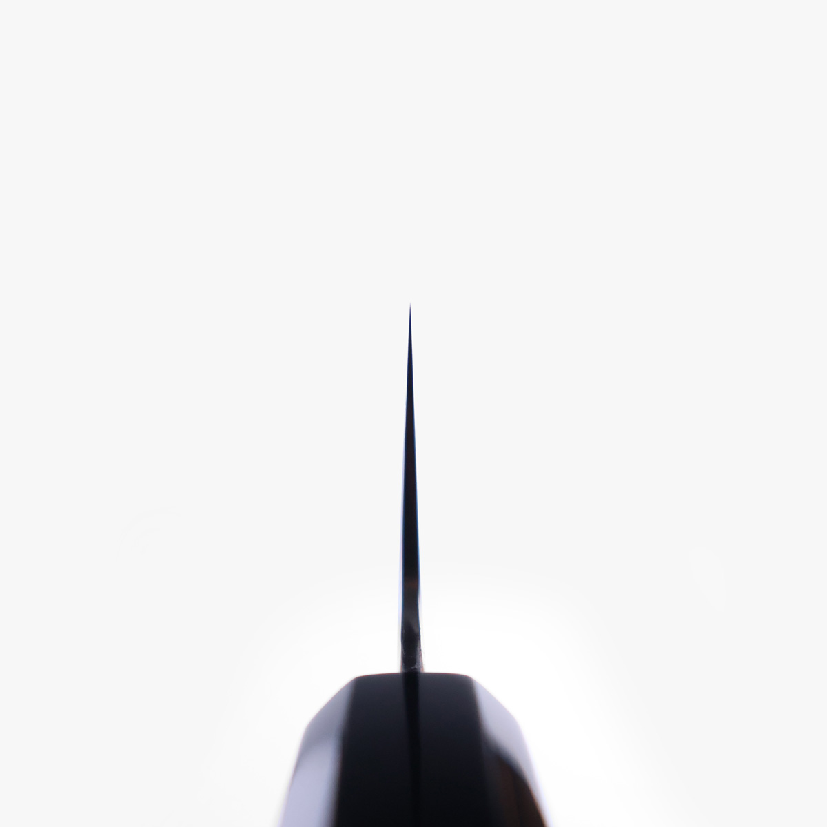 21cm Kokkekniv (gyoto) nr.1, CoSP Migaki - MYOJIN RIKI SEISAKUSHO — bilde 4