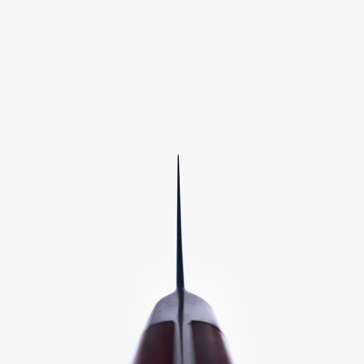 21cm Kokkekniv (gyoto), AUS8 - Fujiwara — bilde 5