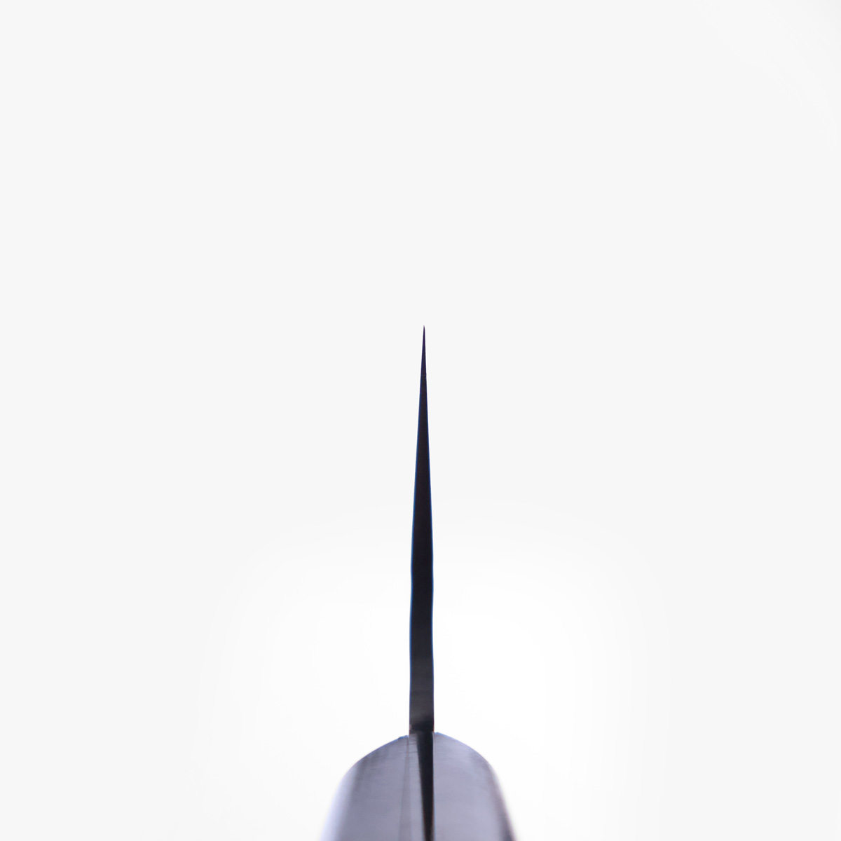 21cm Kokkekniv (gyoto), Western/Damask, VG10 - Sakai Takayuki — bilde 5