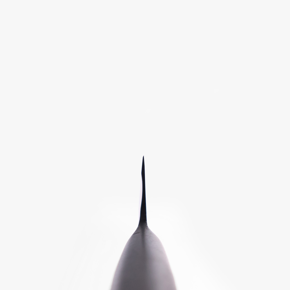 27cm Yanagiba, MV-S - MASAHIRO — bilde 5