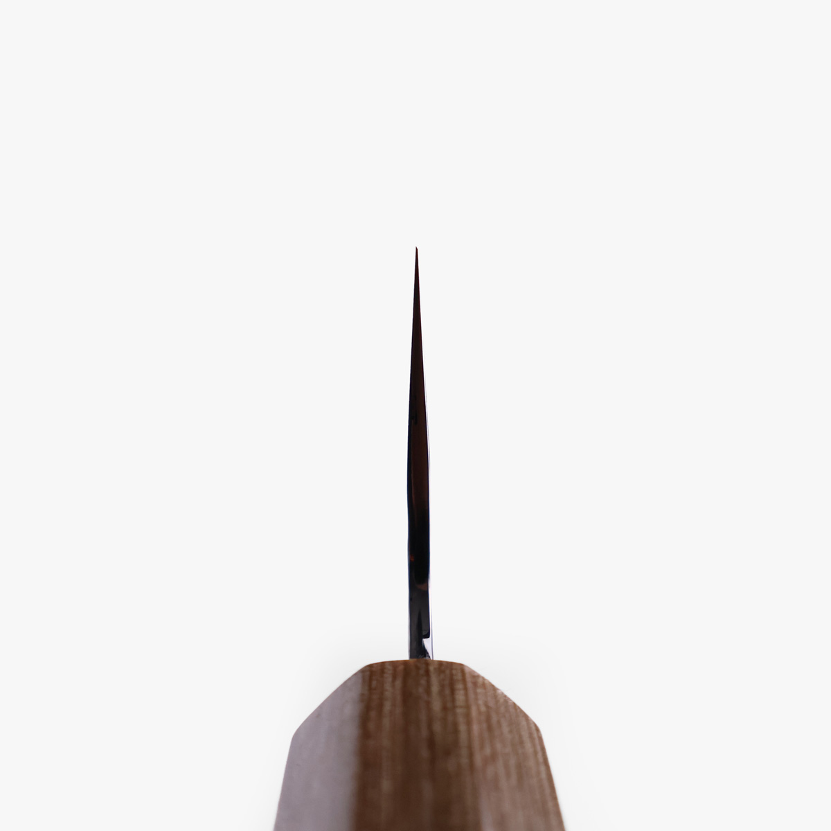 21cm Kokkekniv (gyoto) "sakura", Tsuchime, SG2 - MAKOTO KUROSAKI — bilde 4