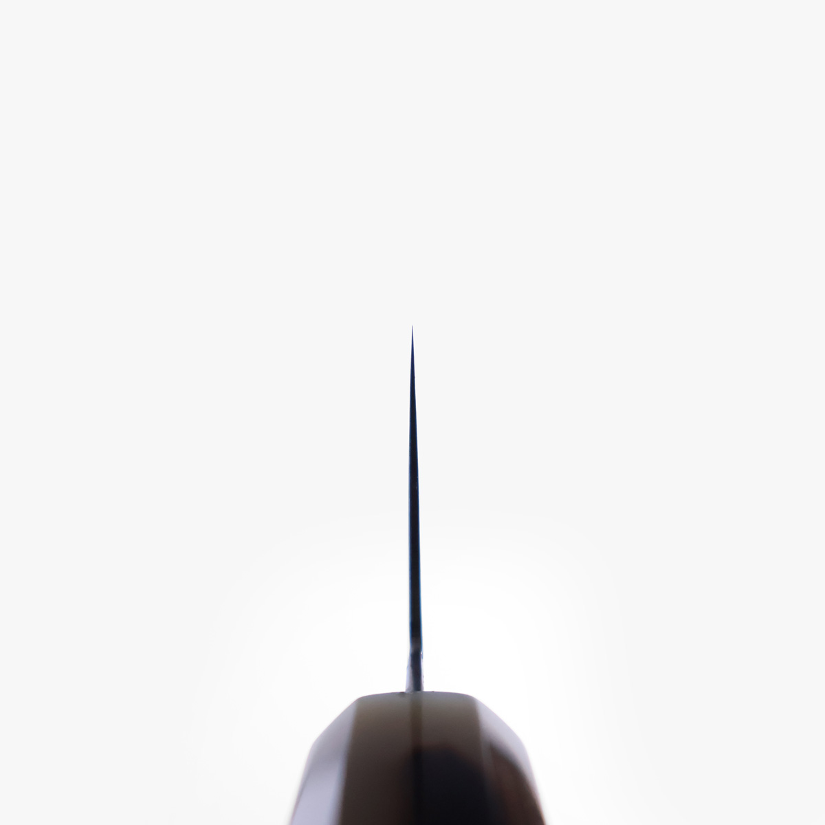 21cm Kokkekniv (Gyoto), VG10 - SAKAI KIKUMORI — bilde 4