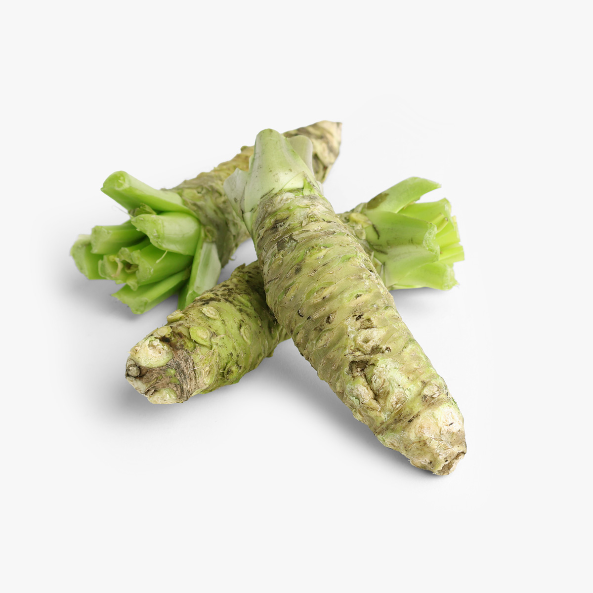Wasabi, japansk Mazuma, fersk — bilde 1