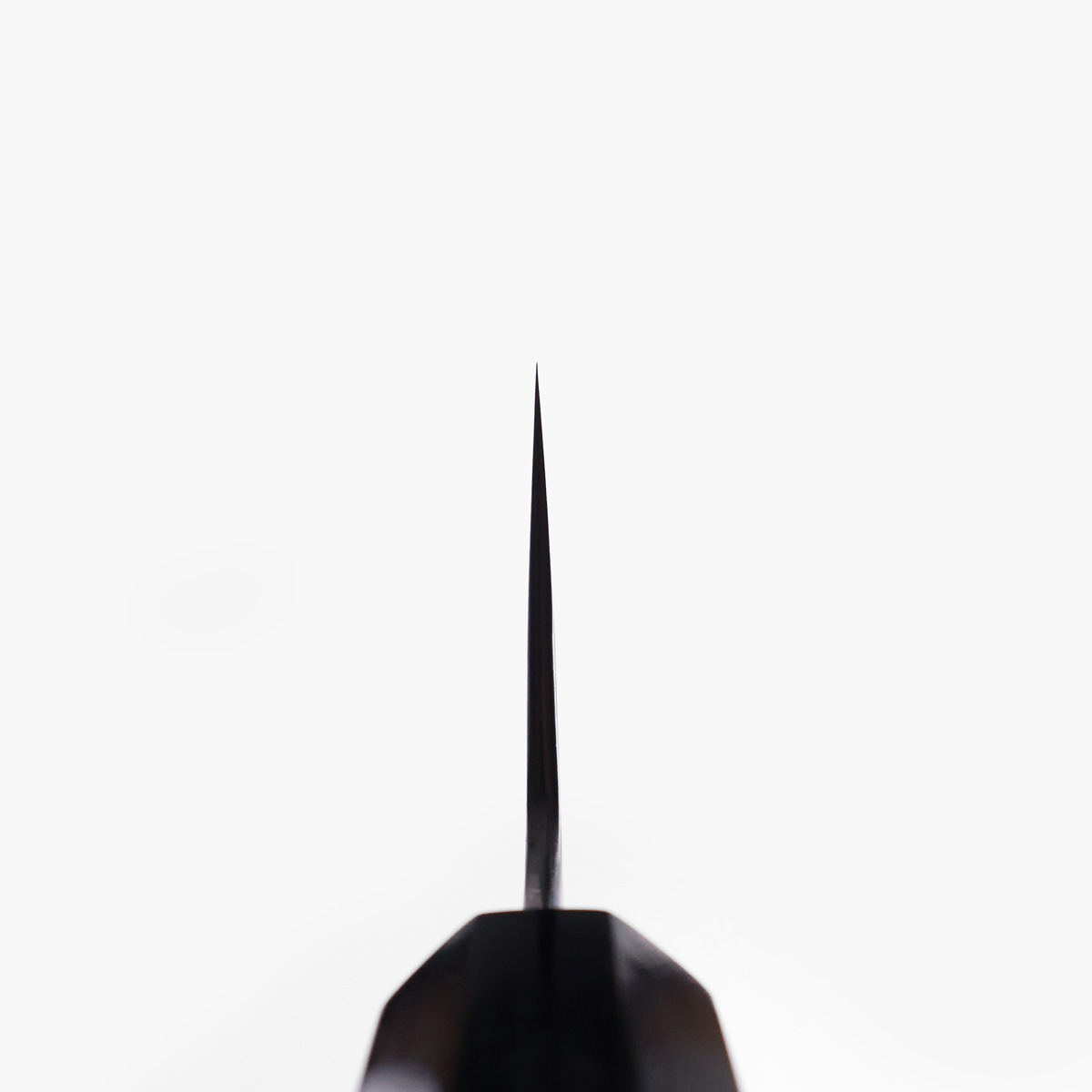 24cm Kokkekniv (Gyuto) KIKUZUKI KASUMI, Shirogami - SAKAI KIKUMORI — bilde 4