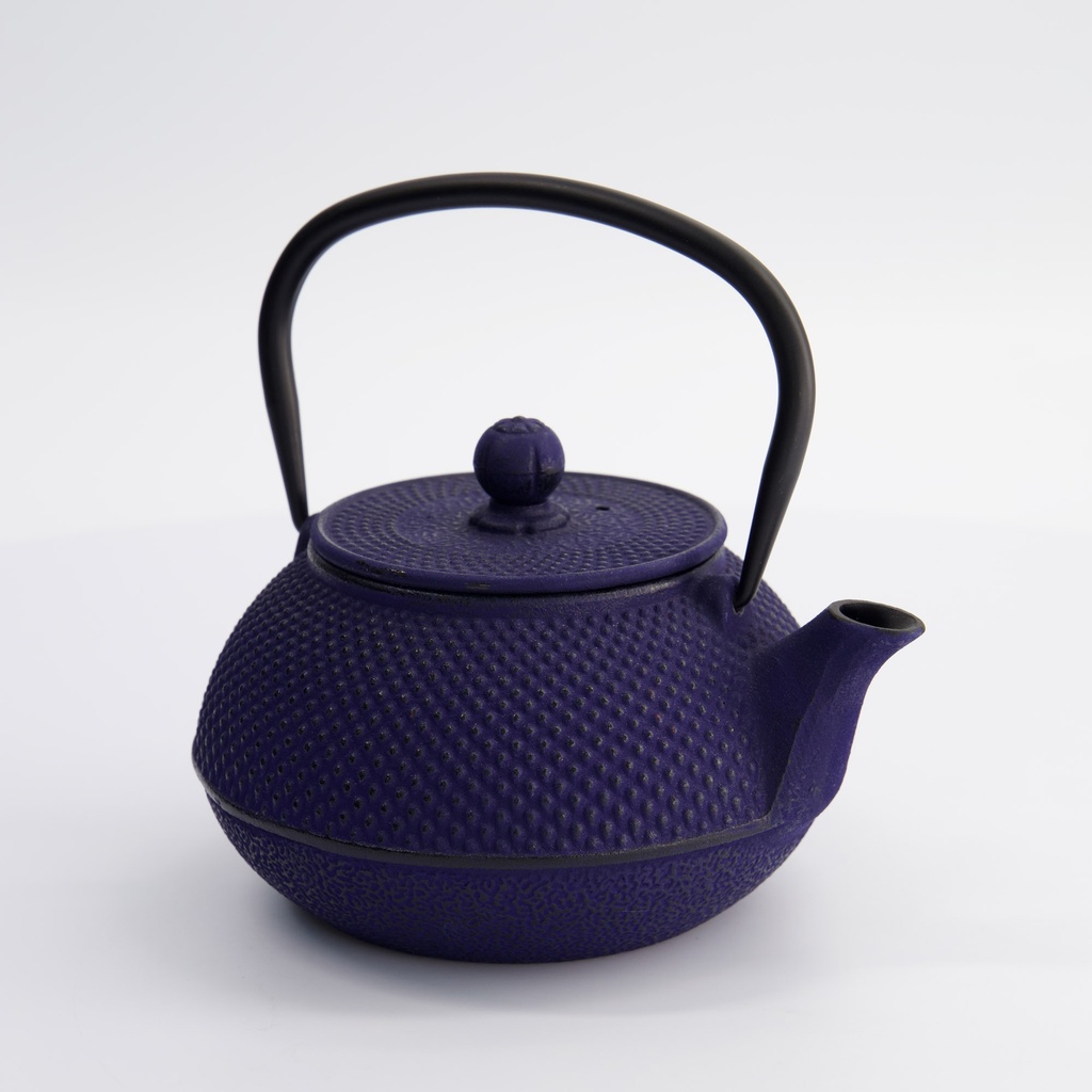 Tekanne 800ml, Støpejern 17.5 x 15 x 10cm, Blå - Tokyo design studio — bilde 1