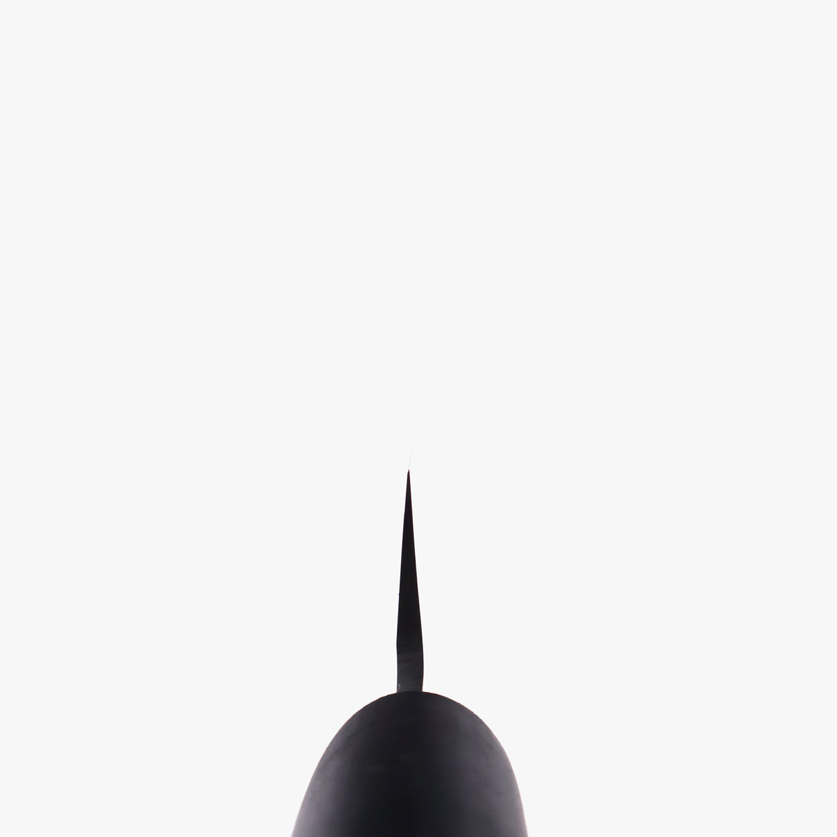 27cm Yanagiba, Molybden Vanadium - TOJIRO — bilde 5