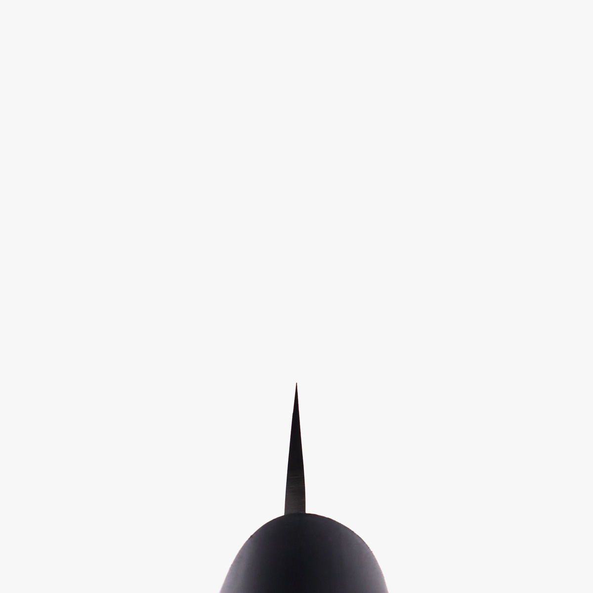 24cm Yanagiba, Molybden Vanadium - TOJIRO — bilde 5