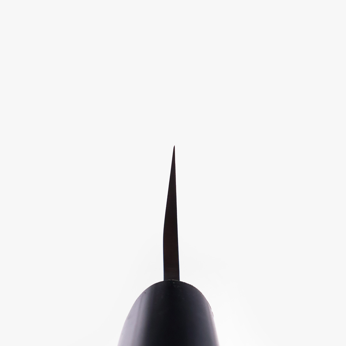 19.5cm Usuba, Molybden Vanadium - TOJIRO — bilde 5