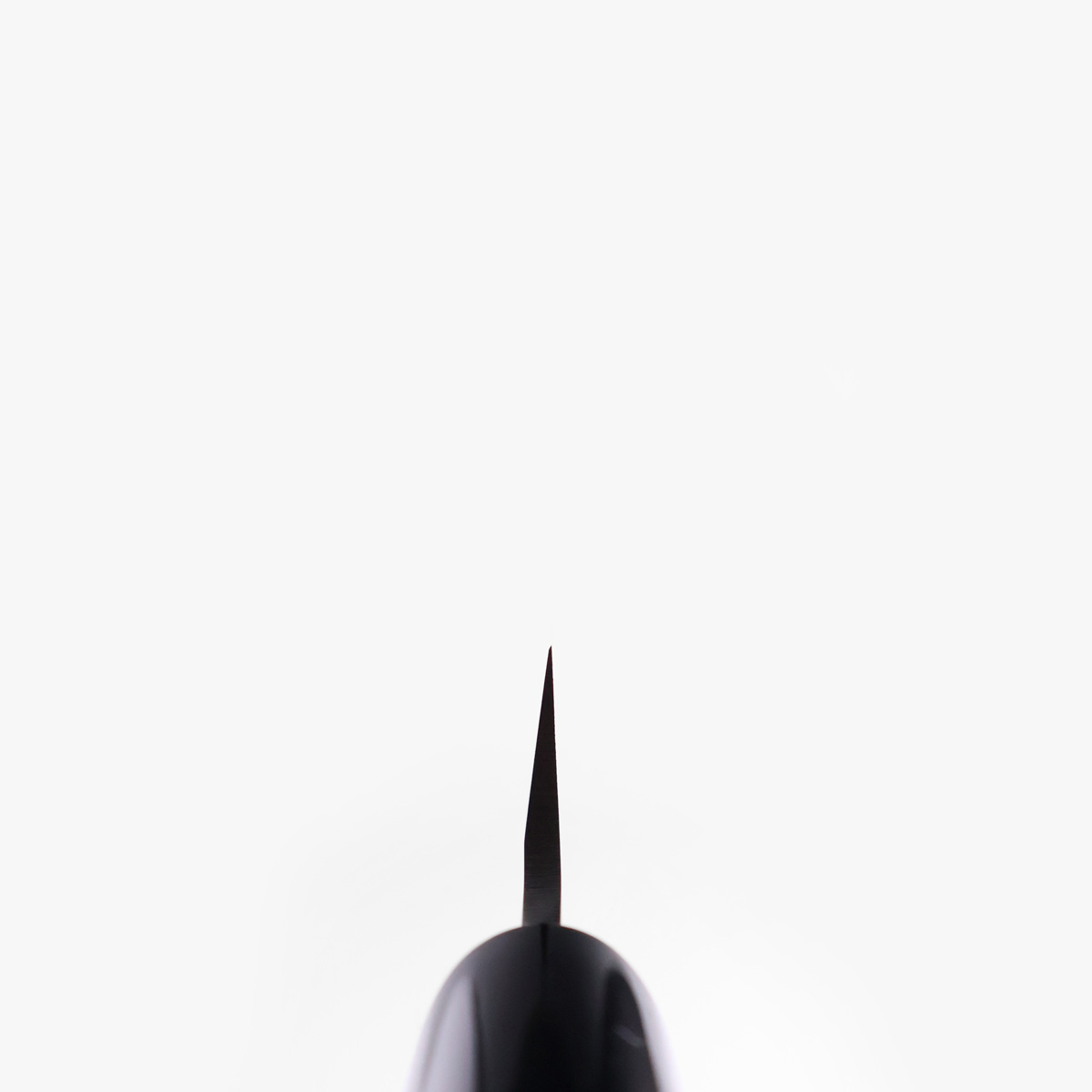 24cm Yanagiba, Molybden Vanadium - TOJIRO — bilde 5