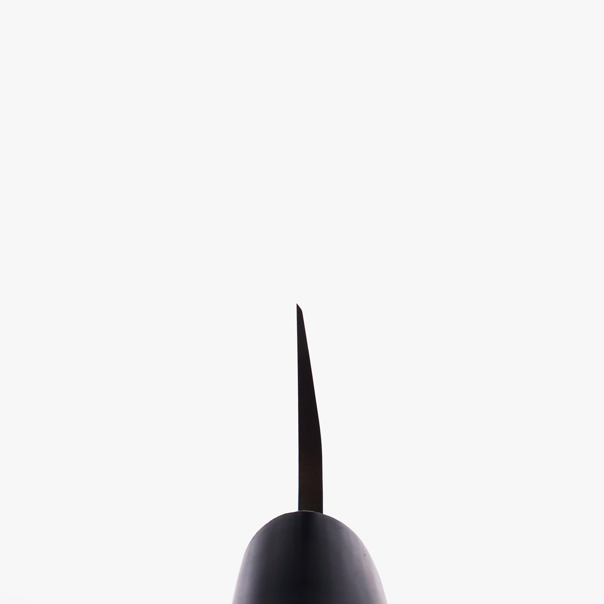 19,5cm Usuba (venstrehendt), Kanto-type, Molybden Vanadium - TOJIRO — bilde 5