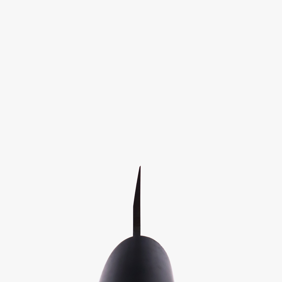 27cm Yanagiba, Molybden Vanadium - TOJIRO — bilde 5
