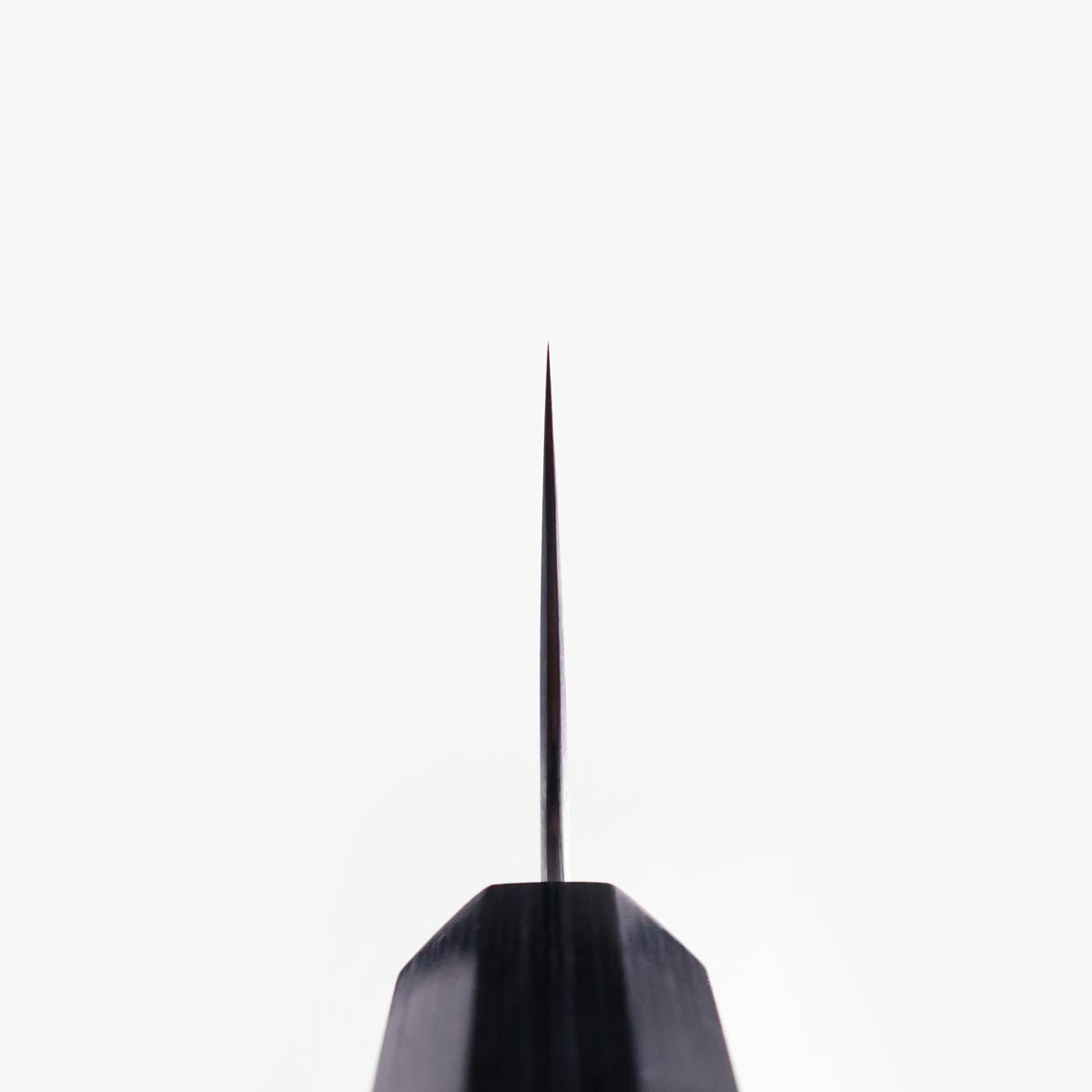 24cm Kokkekniv (gyoto) Chromax - SHIBATA KOTETSU — bilde 4
