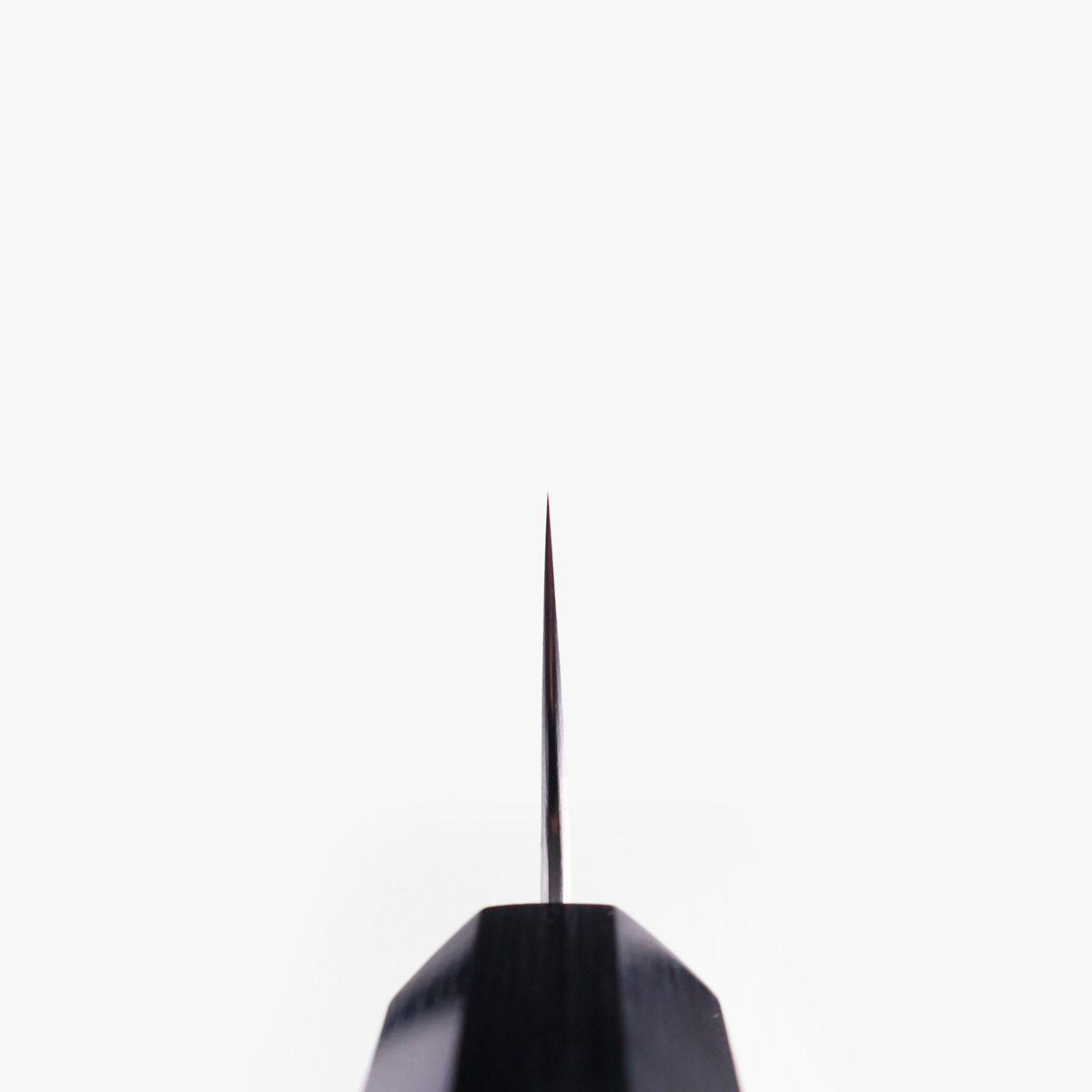 24cm Sujihiki, Chromax - SHIBATA KOTETSU — bilde 4