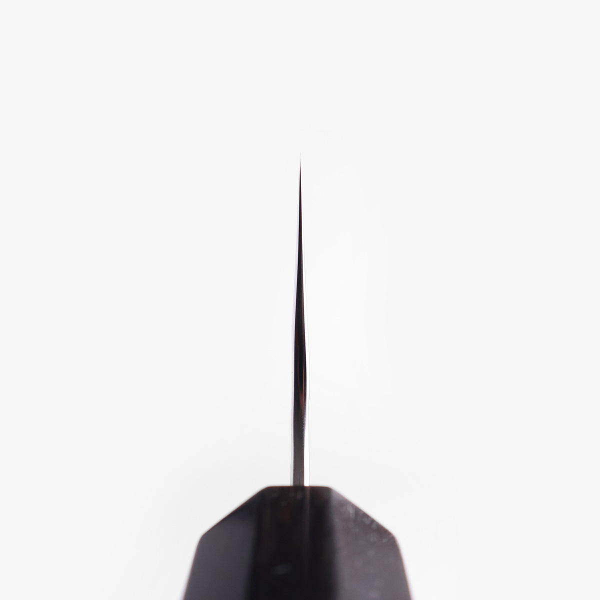 21cm Kiritsuke, Tsushime, SG2 - YOSHIMI KATO — bilde 4