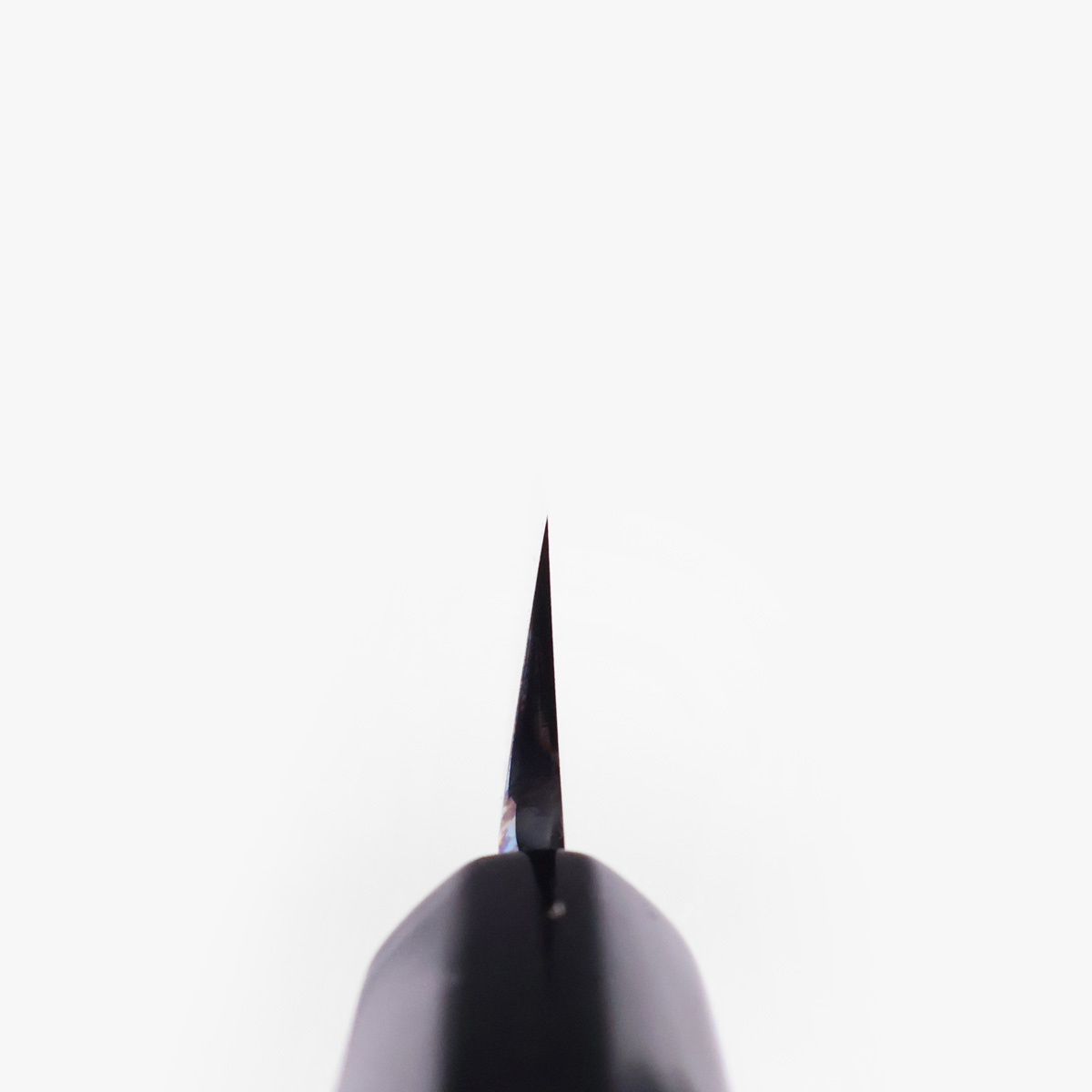 24cm Yanagiba, Shirogami II, inkl Saya - SAKAI KIKUMORI — bilde 5