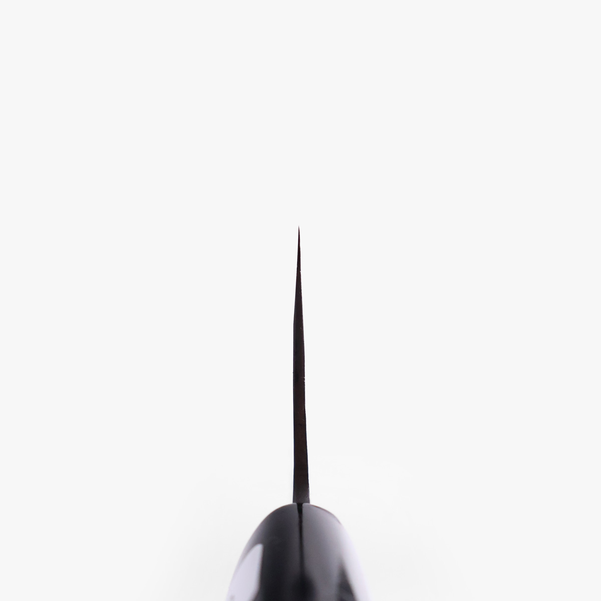 16.5cm Grønnsakskniv (nakiri), Shirogami I - TERUYASU FUJIWARA — bilde 4