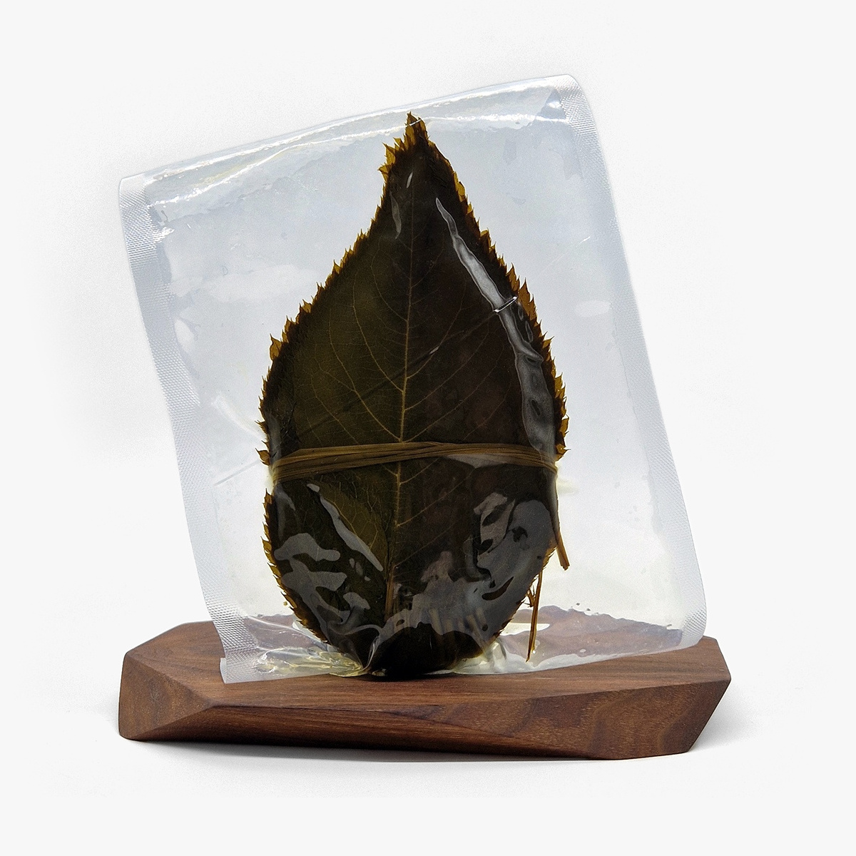 Blader, kirsebær/sakura (14/16cm * 7/10cm), 50stk — bilde 1