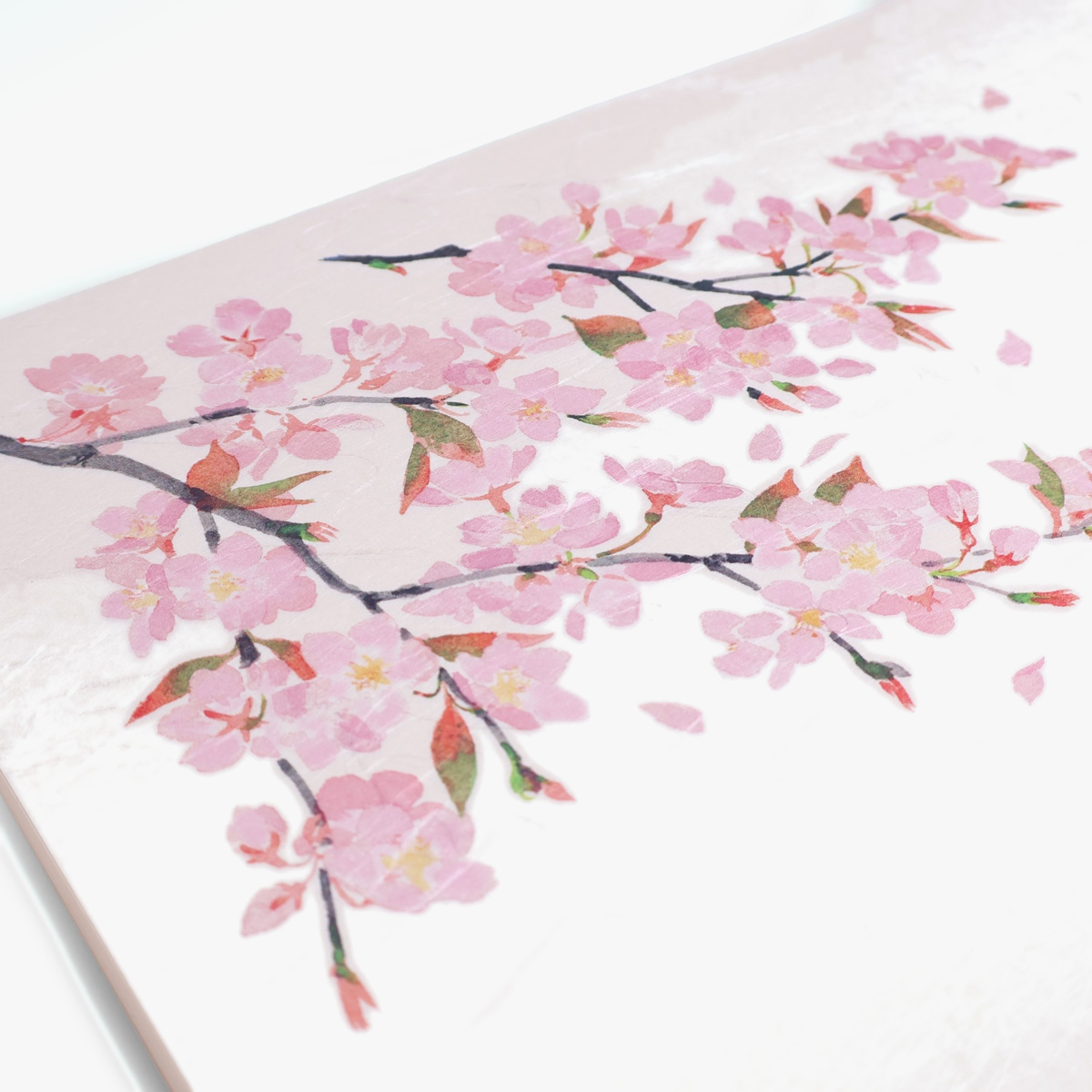 Kaiseki-matte, washi, kirsebærblomst, 50 stk (shaku-3) — bilde 3
