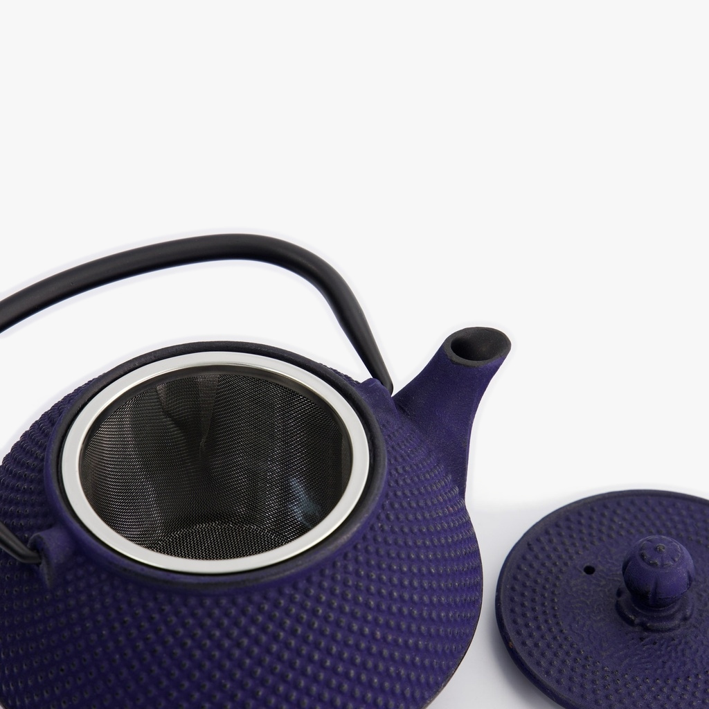 Tekanne 800ml, Støpejern 17.5 x 15 x 10cm, Blå - Tokyo design studio — bilde 4